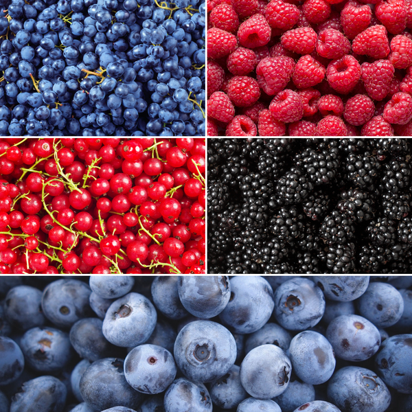 "Fruit oasis" BIO Mélange de plantes fruitières ensemble de 5 types différents