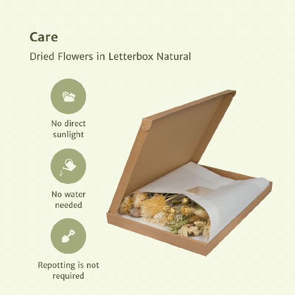 Fleurs séchées dans Boite aux Lettres - Naturel