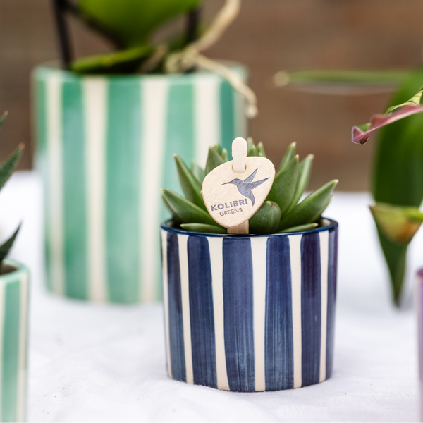 Kolibri Home | Painted stripe - Blue - Ø6cm