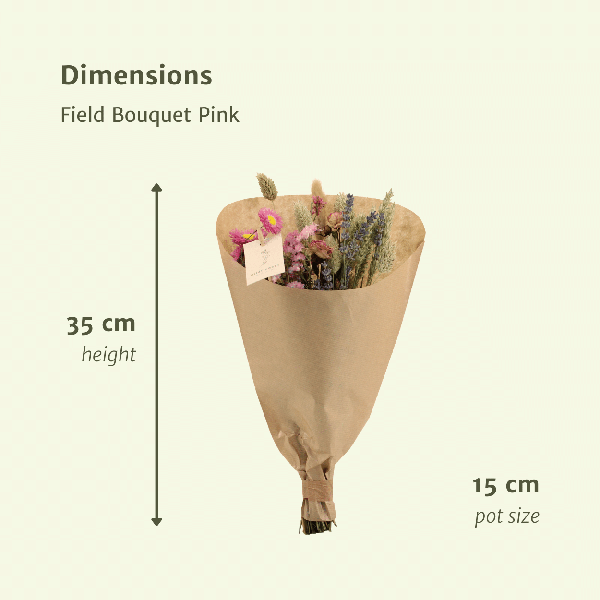 Fleurs séchées Bouquet des Champs Rose - Ø15cm - ↕35cm