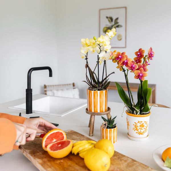 Kolibri Home | Painted stripe - Orange - Ø9cm