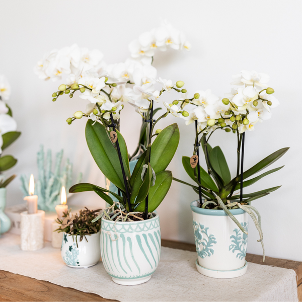 Kolibri Home | Granada - Turquoise - Ø9cm