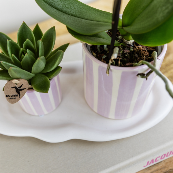 Kolibri Home | Painted stripe - Pink - Ø6cm