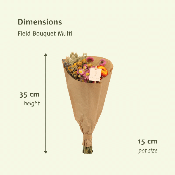 Fleurs séchées Bouquet Champ Multi - Ø15cm - ↕35cm