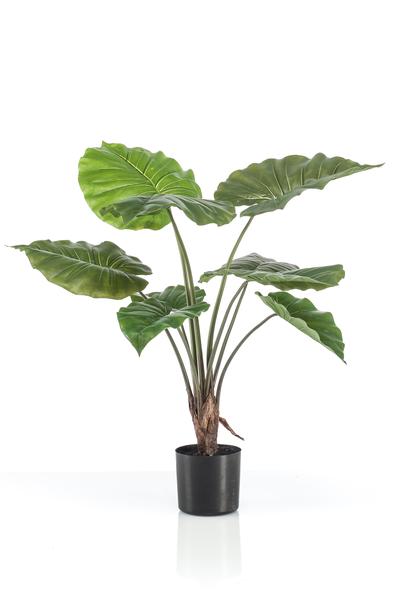 Plante artificielle - Alocasia - Oreille d'éléphant - 70 cm