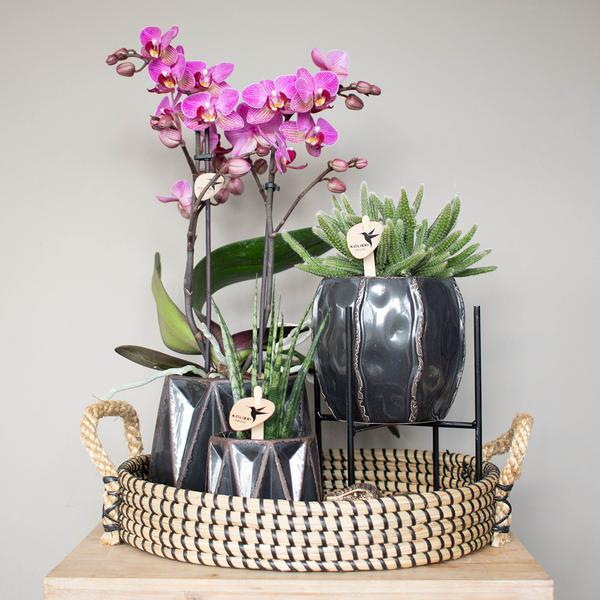 Maison Colibri | Bol décoratif - Plateau tressé noir Ø30cm