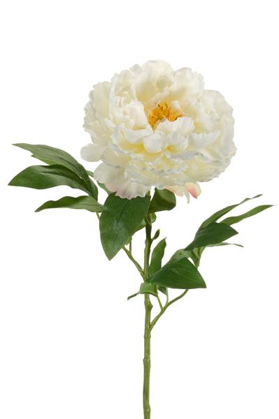 Fleurs artificielles Solo - Crème - Pivoines - x 5 - 65cm