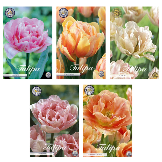 Tulipa - Mélange de bulbes à fleurs (2) - 5 variétés - 35 bulbes