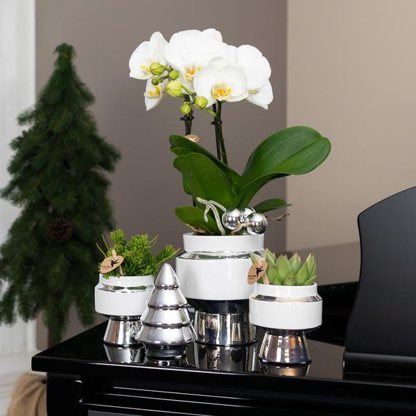 Maison Colibri | Ornement - Image décorative Sapin de Noël - 12 cm de haut - Blanc