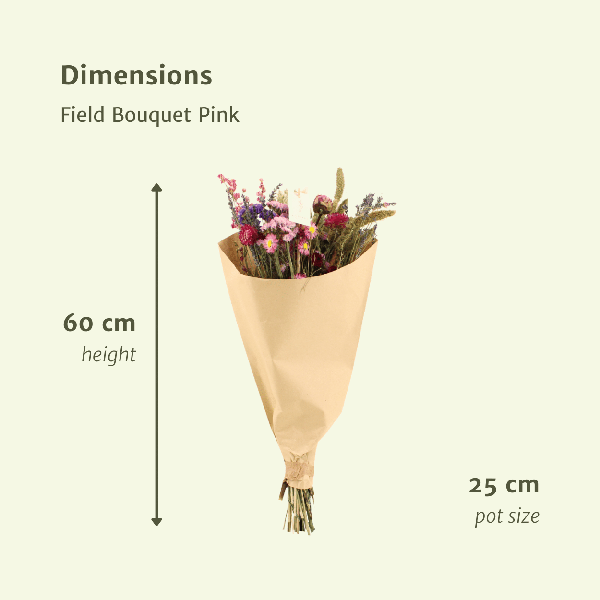 Fleurs séchées Bouquet des Champs Rose - Ø25cm - ↕60cm