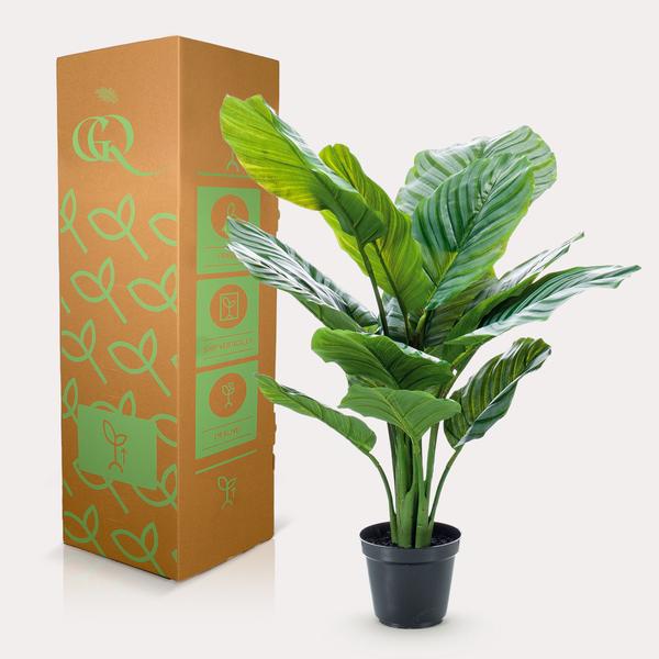 Plante artificielle - Calathea Orbifolia - Plante d'ombrage - 60 cm