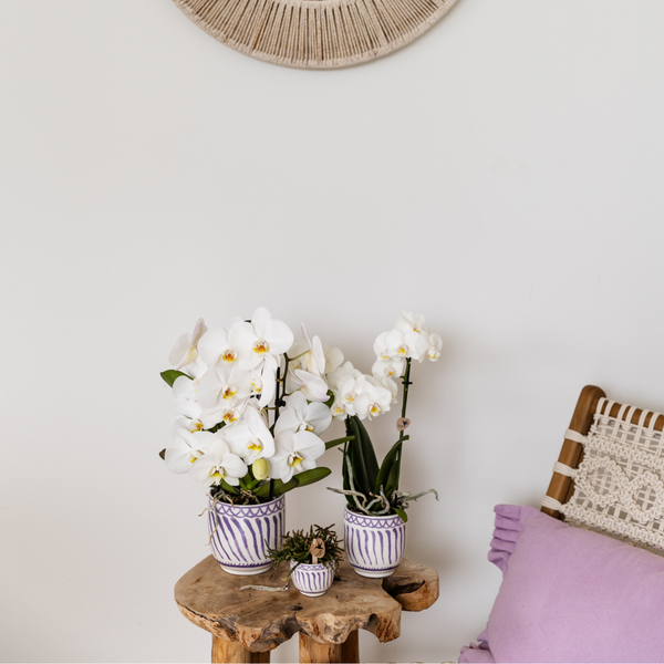 Kolibri Home | Granada - Lilac - Ø12cm
