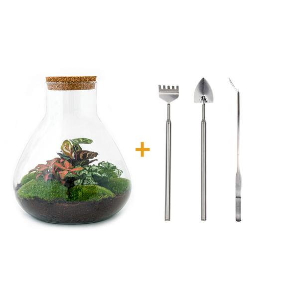 DIY terrarium - Sam XL Rood - ↕ 35 cm - Rake + Shovel + Tweezer