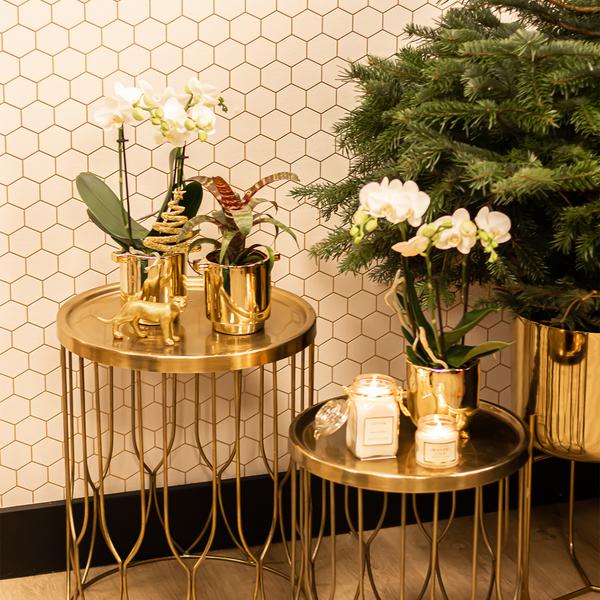 Maison Colibri | Ornement - Décoration dorée Jaguar