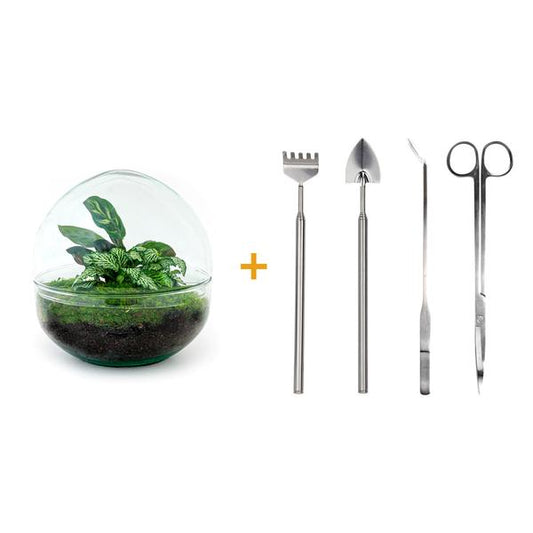 DIY terrarium - Dome - ↕ 20 cm - Rake + Shovel + Tweezer + Scissors