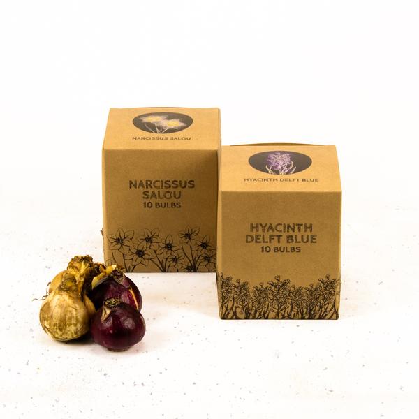 Flowerbulbs Amsterdam - Rob's Favorites - 20 bulbes à fleurs - Taille 12/14