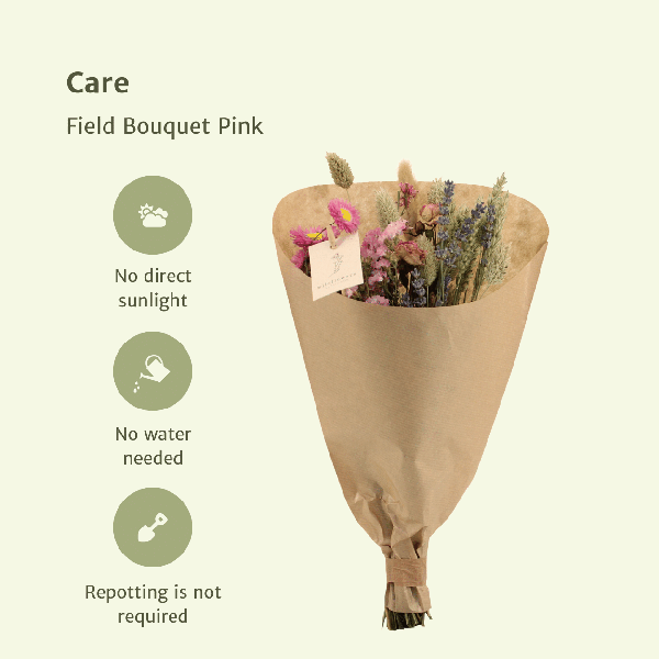 Fleurs séchées Bouquet des Champs Rose - Ø15cm - ↕35cm