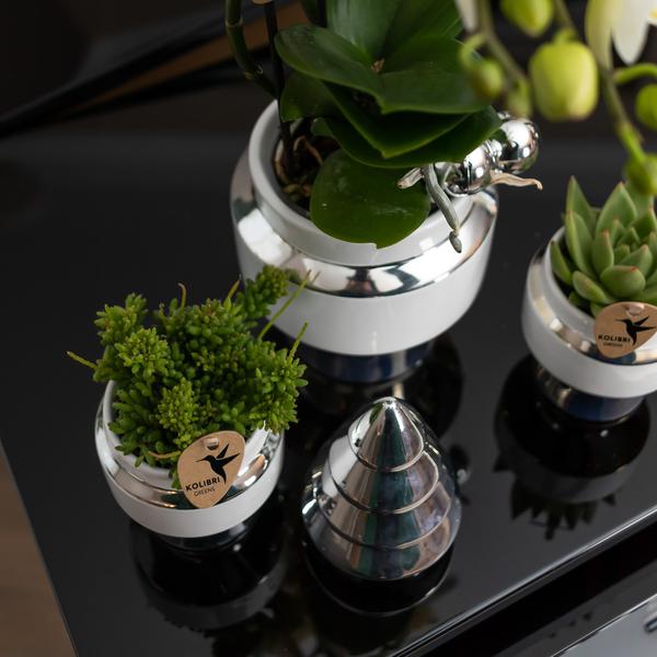 Maison Colibri | Ornement - Image décorative Sapin de Noël - 12 cm de haut - Argent