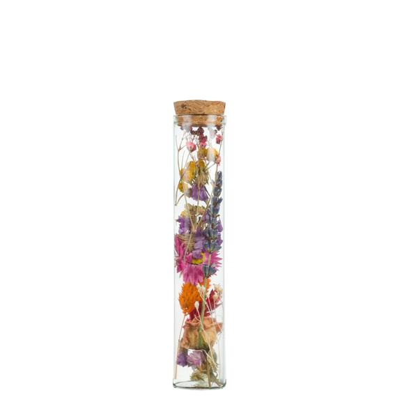 Fleurs séchées - Wish Bottle Medium - Multi - 6 pièces - ↕15cm