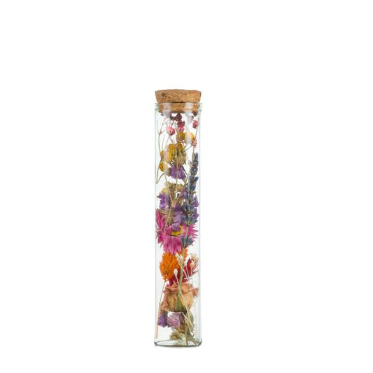 Fleurs séchées - Wish Bottle Medium - Multi - 6 pièces - ↕15cm