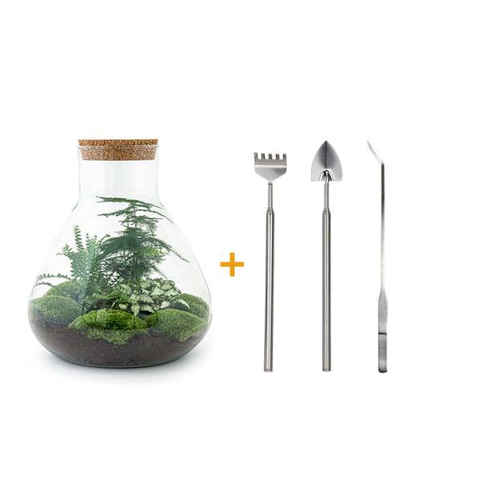 DIY terrarium - Sam XL - ↕ 35 cm - Rake + Shovel + Tweezer