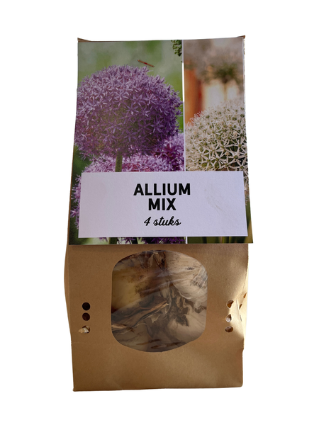 Ampoules Allium Mix 4 pièces