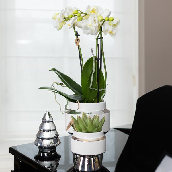 Maison Colibri | Ornement - Image décorative Sapin de Noël - 12 cm de haut - Argent