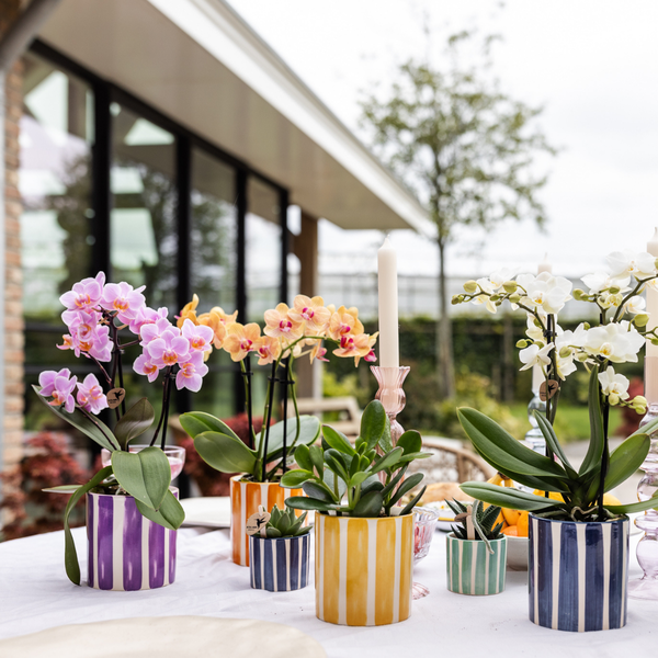 Kolibri Home | Painted stripe - Lilac - Ø9cm