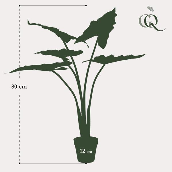 Plante artificielle - Alocasia Frydek - Oreille d'éléphant - 80 cm