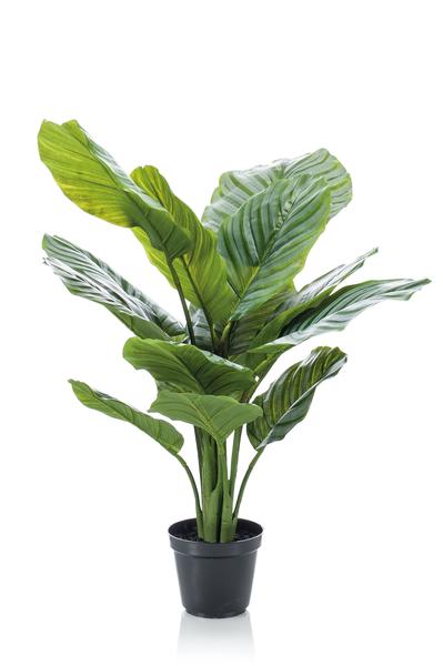 Plante artificielle - Calathea Orbifolia - Plante d'ombrage - 60 cm