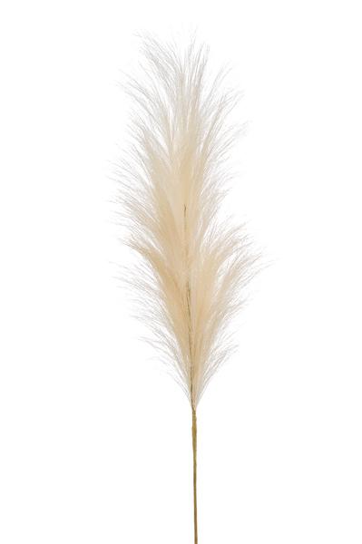 Fleurs artificielles Solo - Crème - Plumes de Pampas - x 6 - 115cm