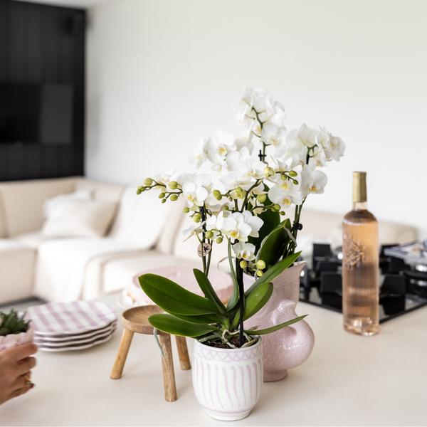 Kolibri Home | Granada - Pink - Ø9cm