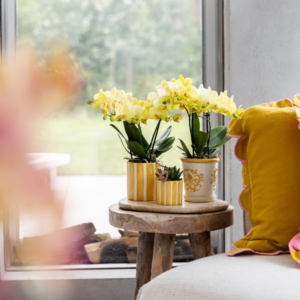 Kolibri Home | Painted stripe - Yellow - Ø9cm