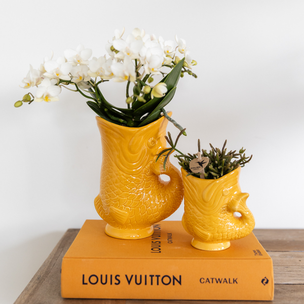 Kolibri Home | Fish - Orange - Ø6cm