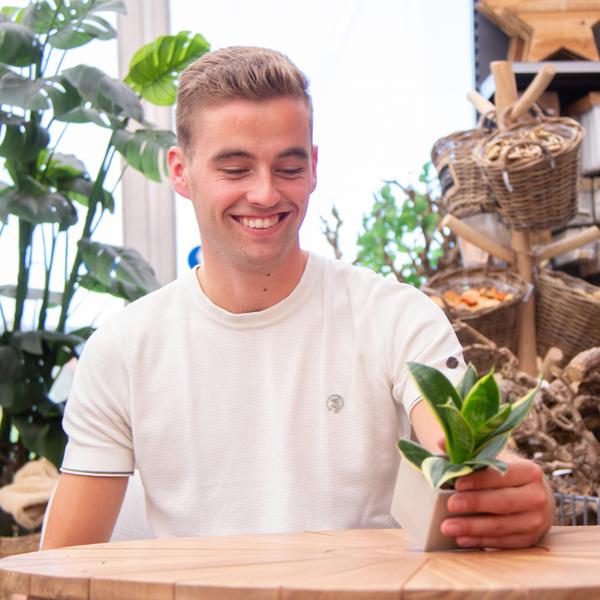 Congreetz® plantpots + Sansevieria | Bedankt vrijwilliger
