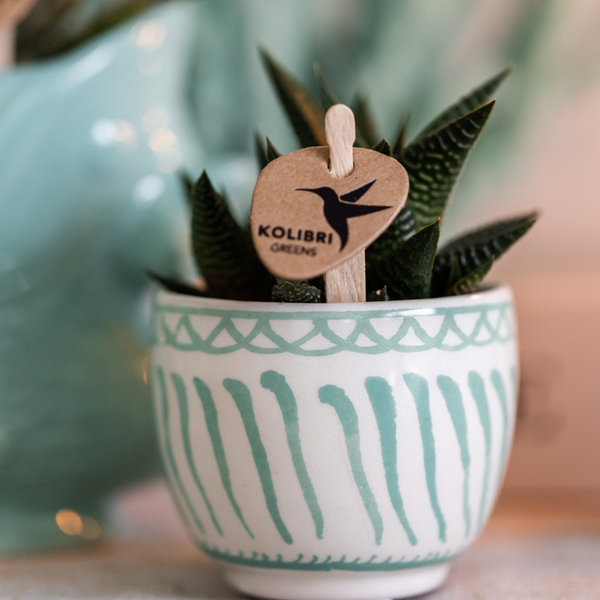 Kolibri Home | Granada - Turquoise - Ø6cm