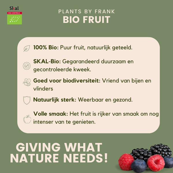 "Fruits d'été" BIO Mélange de plantes fruitières lot de 4 types différents