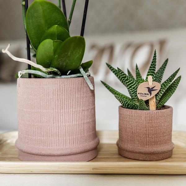 Kolibri Home | Bali sierpot - Sand - Ø6cm