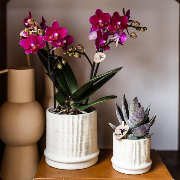 Kolibri Home | Bali sierpot - Off White - Ø9cm
