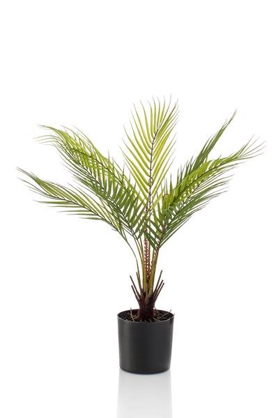 Plante artificielle - Chamaedorea - Palmier des montagnes - 50 cm