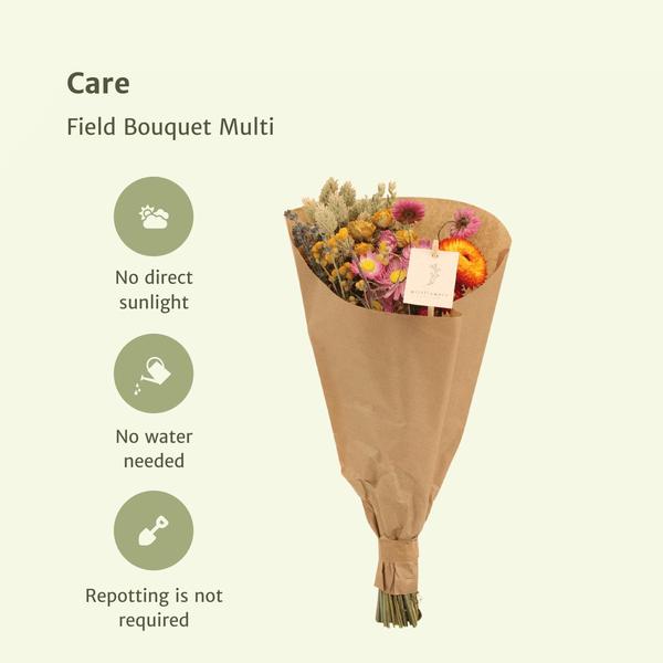 8x Field Bouquet Multi - Bouquet sec - 50cm - Ø20