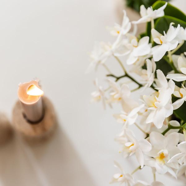 Compagnie des Colibris | Ensemble de plantes + pots décoratifs pour décoration de table dîner - taille pot Ø9cm & Ø6cm | plantes d'intérieur à fleurs - fraîchement sorties du producteur