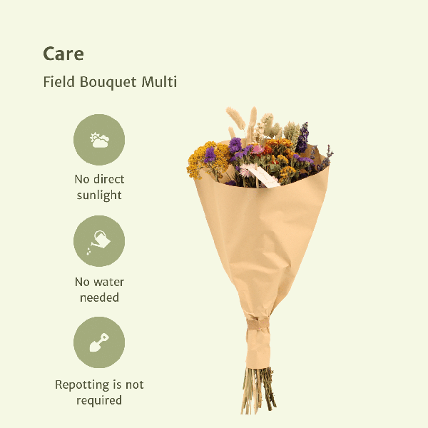 Fleurs séchées Bouquet Champ Multi - Ø25cm - ↕60cm