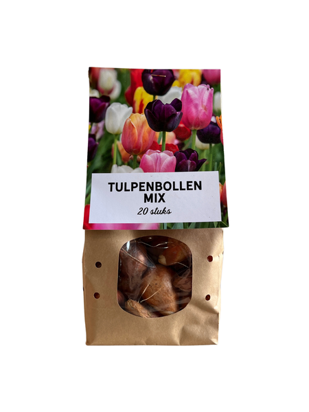 Mélange de bulbes de tulipes, paquet de 15 sachets