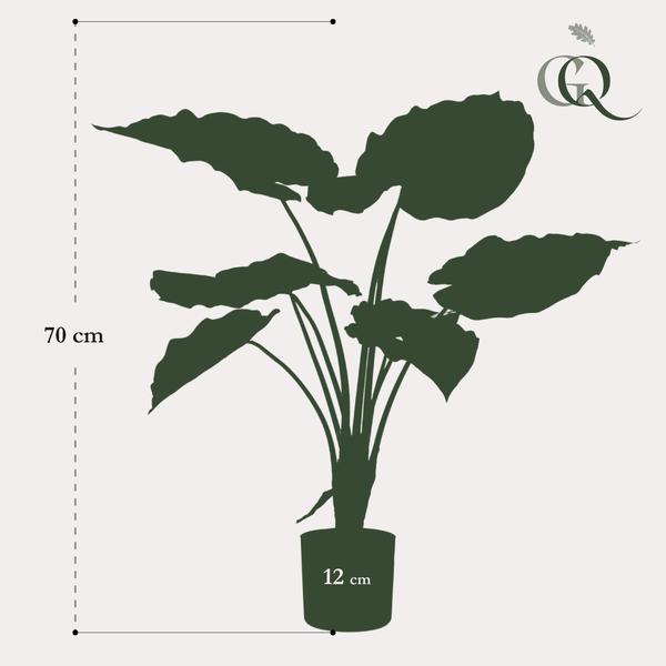 Plante artificielle - Alocasia - Oreille d'éléphant - 70 cm