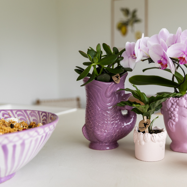Kolibri Home | Fish - Lilac - Ø9cm