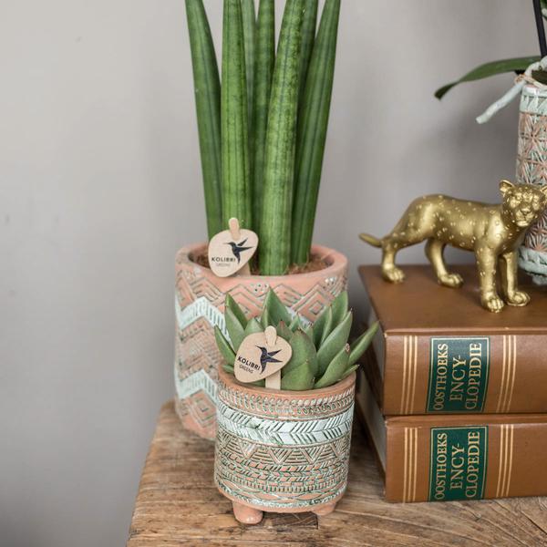Maison Colibri | Ornement - Décoration dorée Jaguar