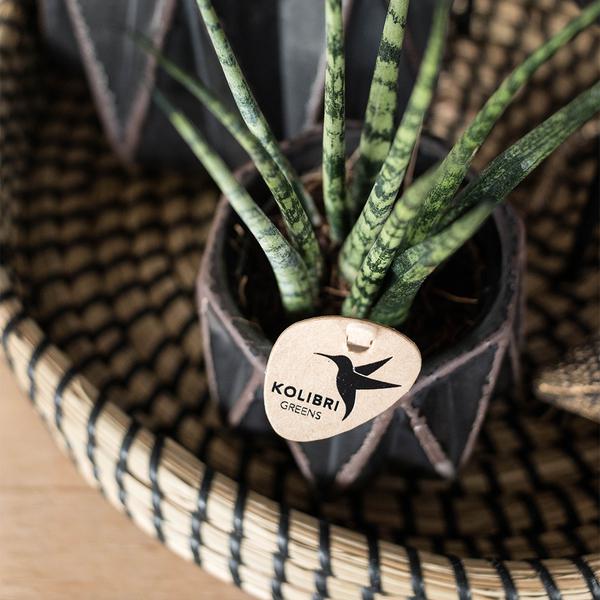 Maison Colibri | Bol décoratif - Plateau tressé noir Ø30cm