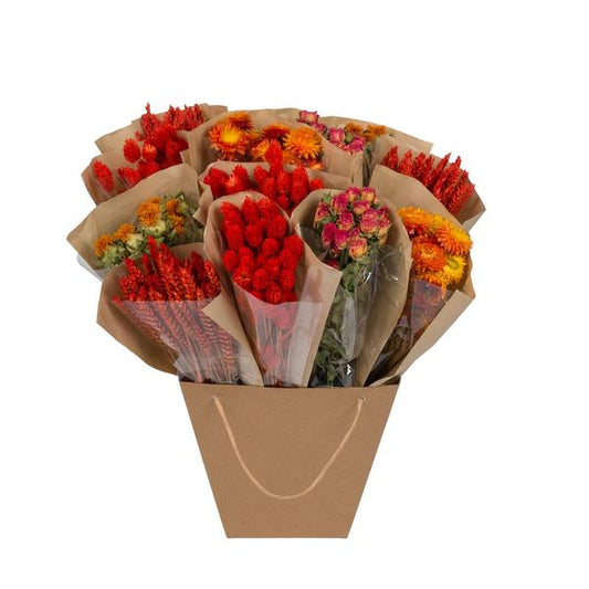 Fleurs séchées - Mono Mix séché - Orange - ↕50cm