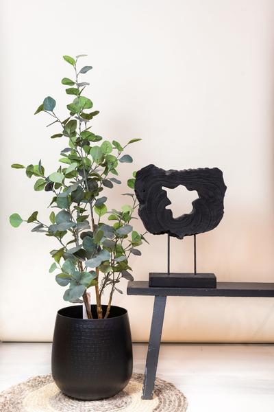 Plante artificielle - Eucalyptus - Gommier bleu - 120 cm